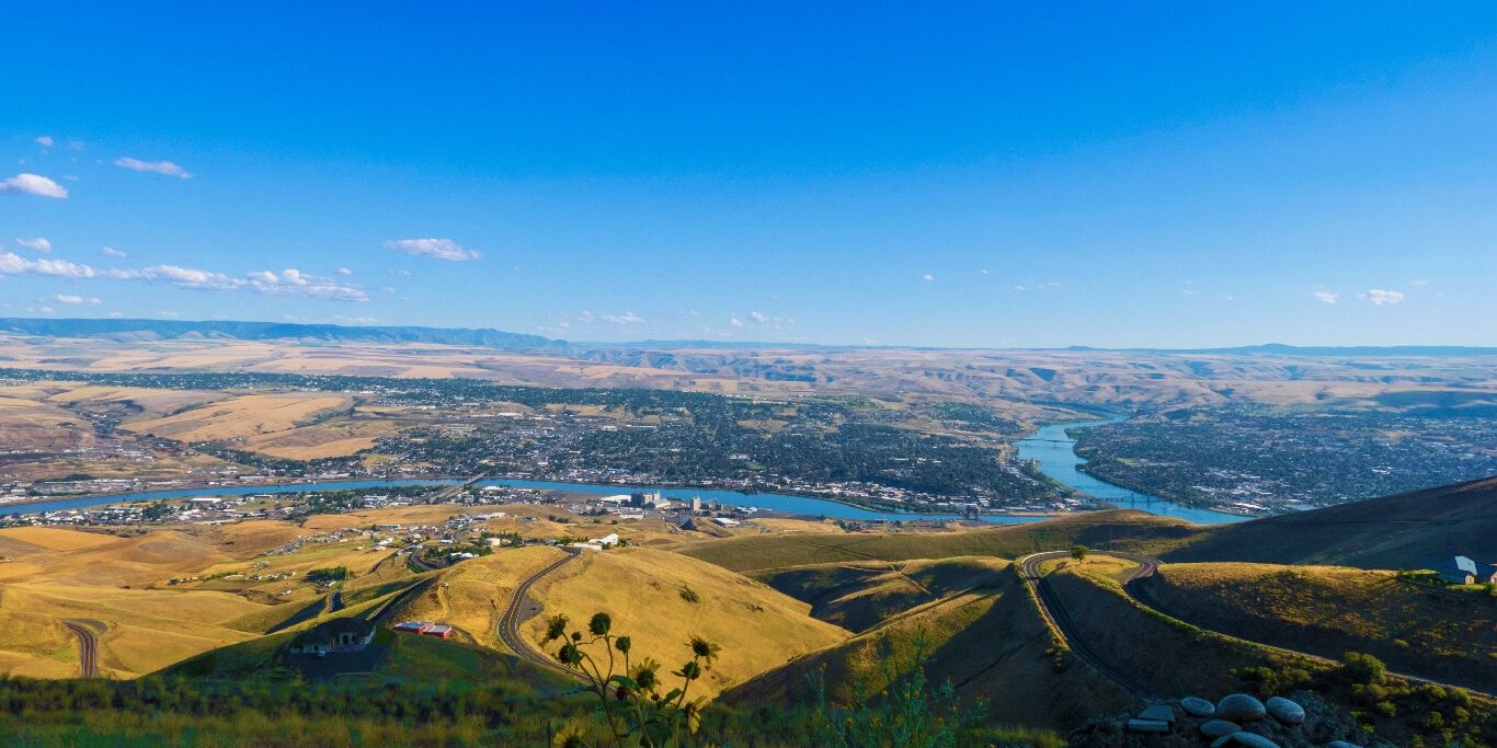 View of the Lewis-Clark Valley and the Clearwater Snake River Confluence from the hills above Lewiston, with yellow flowers in the foreground